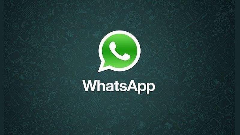 whatsapp fitur baru pengingat password backup data terenksripsi whatsapp fitur baru pengingat password backup data terenksripsi